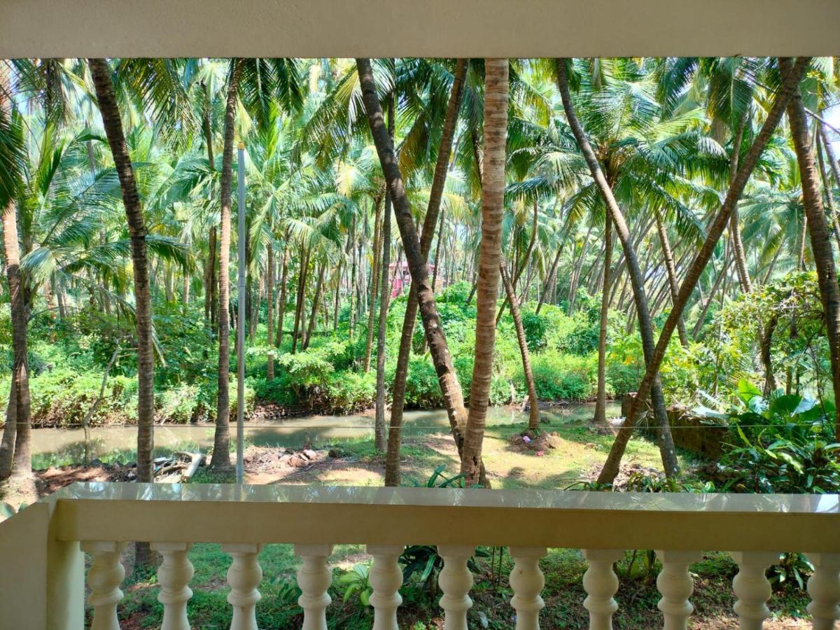 Santana Guest House Агонда Экстерьер фото
